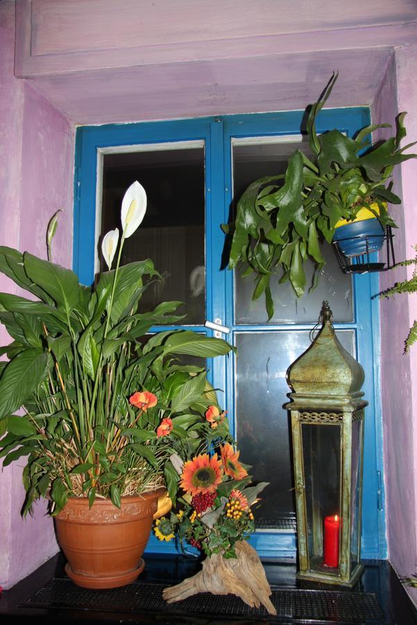 Hostel El Bocado FDH Exterior photo